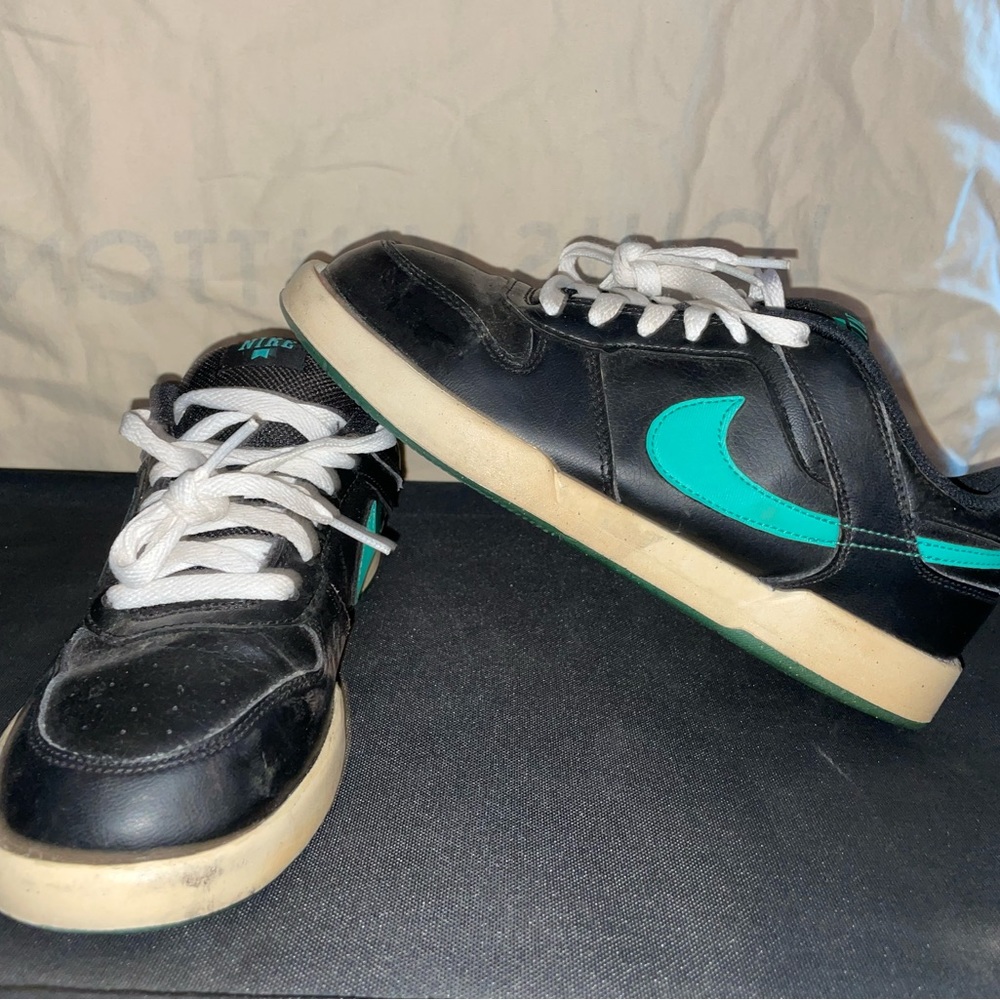 Nike dunk low’s